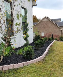 image-1192002423145502