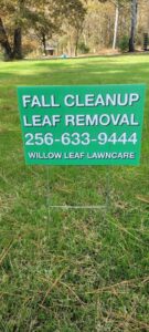 image-2664298580636669