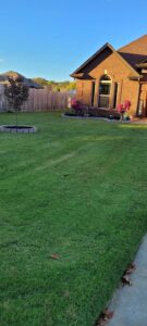 image-931848479501549