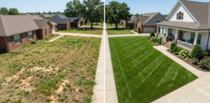 7 Signs You Need Professional Lawn Care in Madison, AL